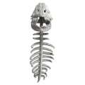 Dinosaur Skeleton Costume Set Dress up Clothing Plush Toys Party