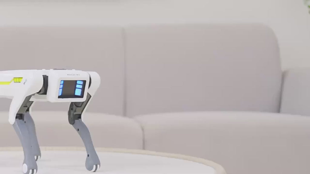 Smart Robot Dog Toy RC Programmable with Voice Control App Dancing — product video