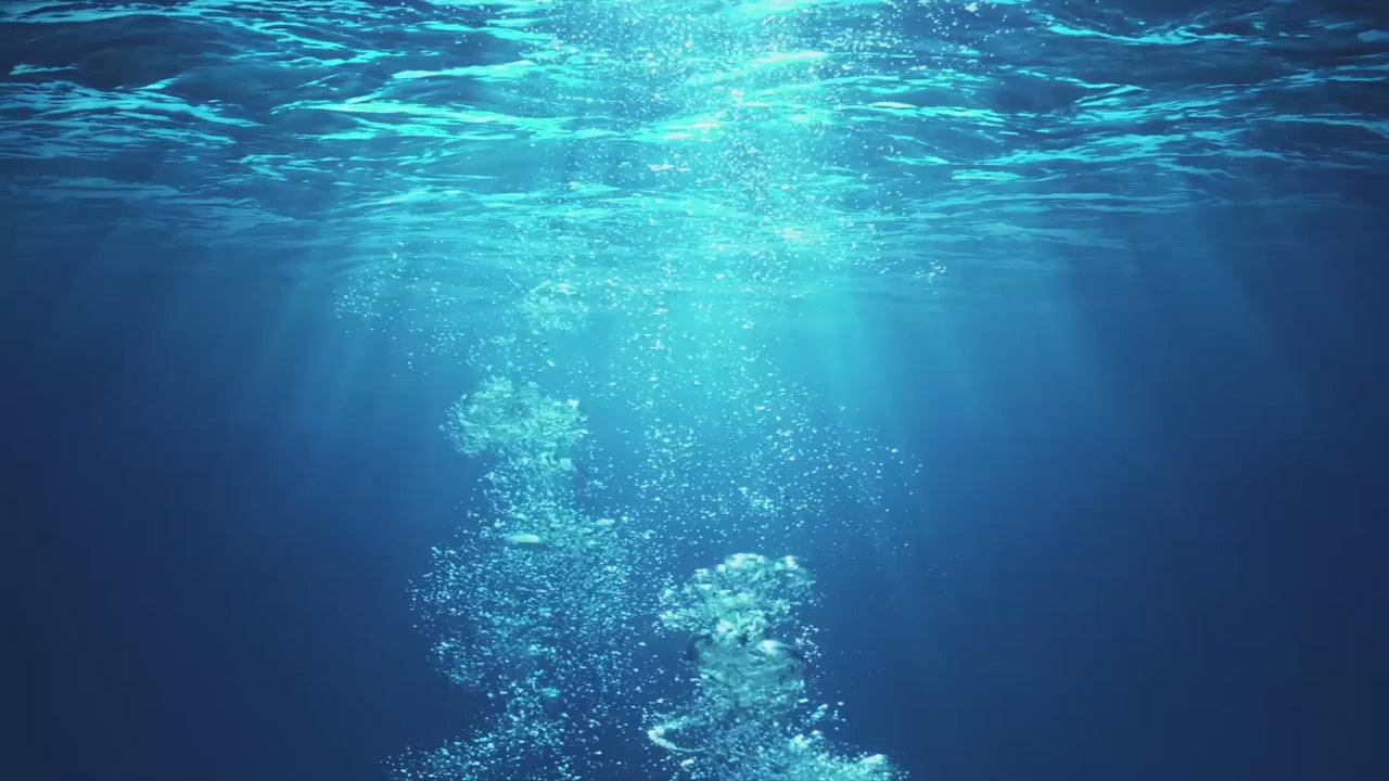 3D Metal Puzzle Jellyfish Kit — product video
