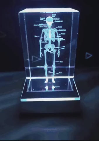 3D Crystal Anatomy Models — Brain Heart Skeleton — product video