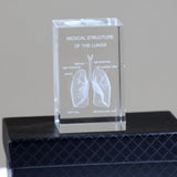 Lungs