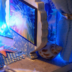 Deep Sea Secret 1:24 scale craft kit for a compact desk display