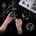 Black rose bouquet construction set with multiple blooming stages for a natural arrangement