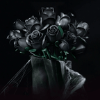 Black rose flower building blocks showing rainbow reflections under angled light for display