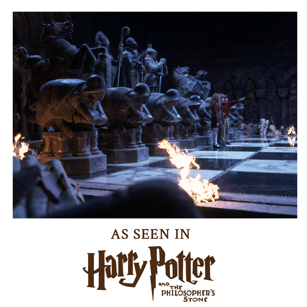 Harry Potter Wizard Chess Set 32 Pieces
