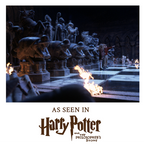 Harry Potter 32-piece chess set presented as a Christmas gift for a fan