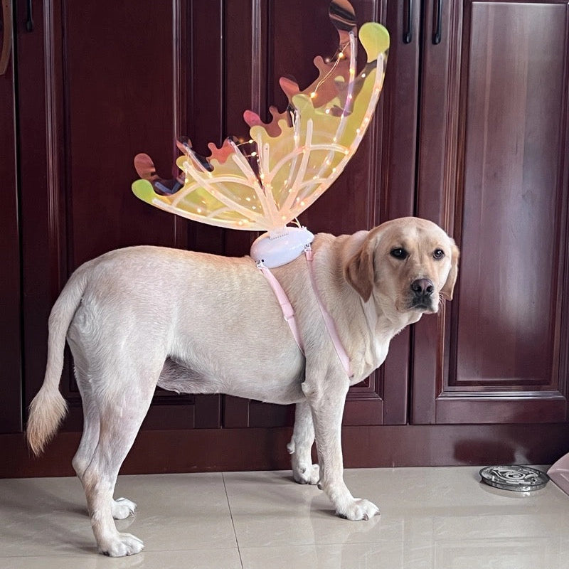 LED Butterfly Wings Light Up Fairy Costume