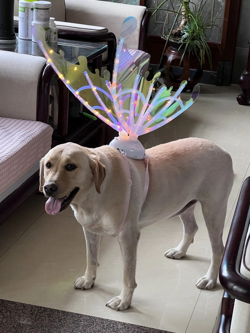 LED Butterfly Wings Light Up Fairy Costume