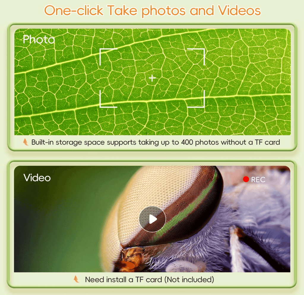 1000X Digital Microscope for Kids — Micro Explorer